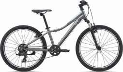Велосипед 24 Liv Enchant   dark silver 2021
