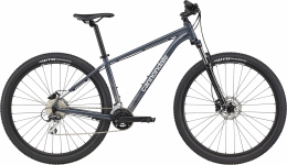 Велосипед 29 Cannondale Trail 6 (2021) slate grey