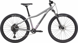 Велосипед 29 Cannondale TRAIL 5 Feminine (2021) lavender