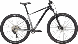 Велосипед 29 Cannondale Trail SE 4 (2021) grey