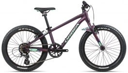 Велосипед 20 Orbea MX 20 DIRT   purple matte 2021